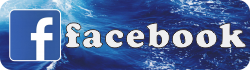 fb2